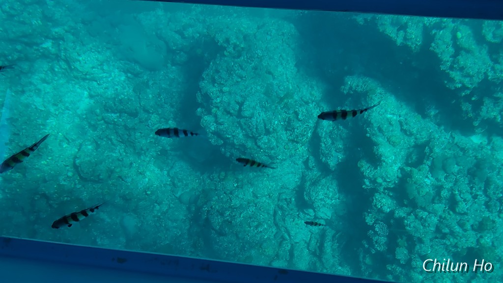 親慶原簡易郵便局